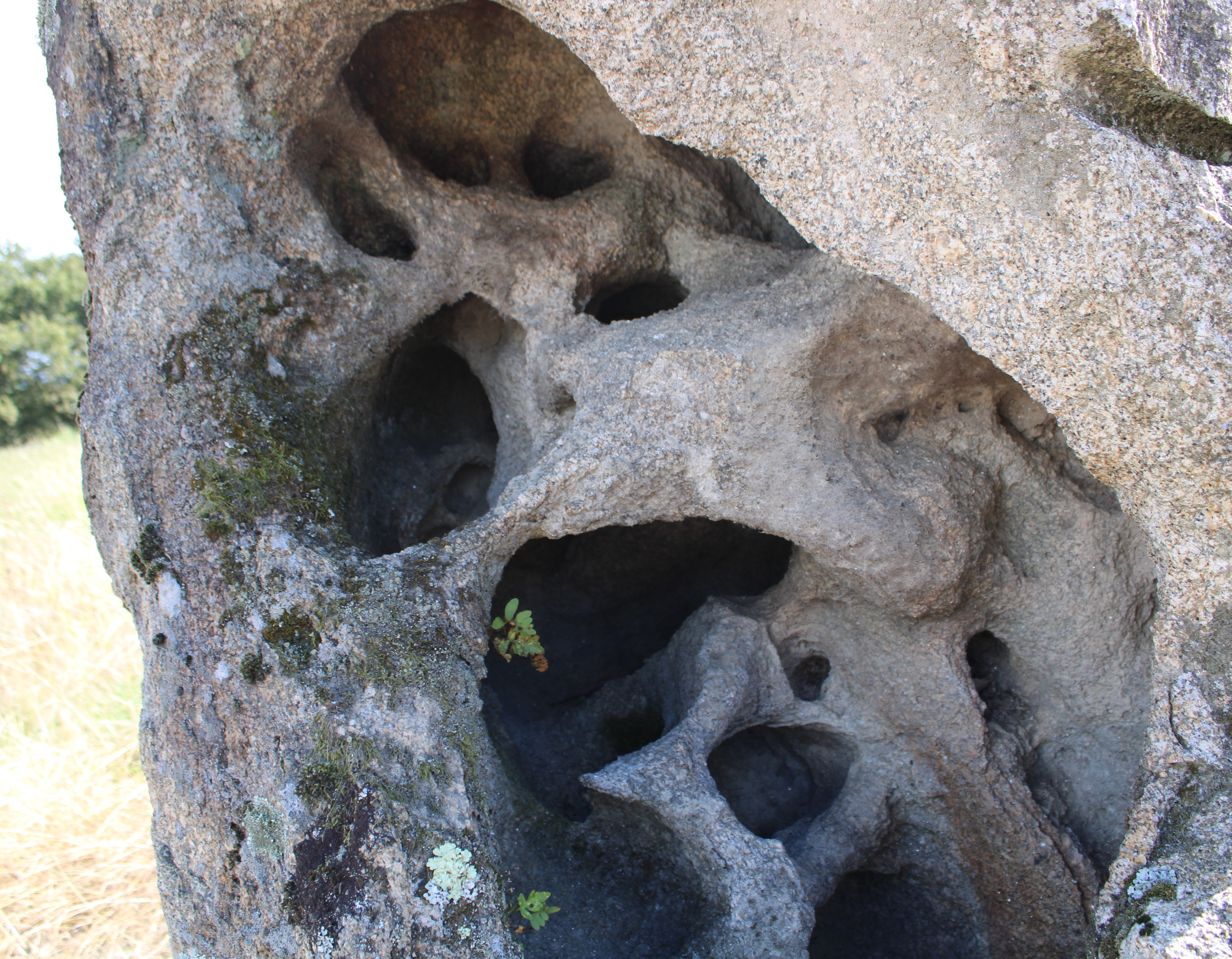 Piedra natural modelo 1 para jardín